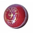 SM Collide Cricket Leather Ball